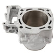Load image into Gallery viewer, Cylinder Works 08-13 Kawasaki KRF 750 Teryx 4x4 750cc Standard Bore 85mm Rear Cylinder Only - Main Product View