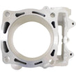 Load image into Gallery viewer, Cylinder Works 16-18 Yamaha WR 450 F 450cc Big Bore Cylinder 99mm - Back View