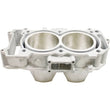 Load image into Gallery viewer, Cylinder Works 20-24 Kawasaki KRX 1000 Teryx 1000cc Big Bore Cylinder 95mm - Side View