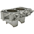 Load image into Gallery viewer, Cylinder Works 20-24 Kawasaki KRX 1000 Teryx 1000cc Standard Bore 92mm - Side View