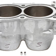 Load image into Gallery viewer, Cylinder Works 2016 Polaris ACE 900 EPS 900cc Standard Bore Cylinder 93mm - Main Product View