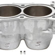Load image into Gallery viewer, Cylinder Works 2016 Polaris ACE 900 EPS 900cc Standard Bore Cylinder 93mm - Main Product View