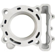 Load image into Gallery viewer, Cylinder Works 2020 Kawasaki KX 250 F 250cc Standard Bore Cylinder Kit - Back View