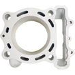 Load image into Gallery viewer, Cylinder Works 21-22 Kawasaki KX 250 F 250cc Standard Bore Cylinder Kit - Back View
