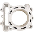 Load image into Gallery viewer, Cylinder Works 21-24 Kawasaki KX 250 F 250cc Big Bore Cylinder 81mm - Main Product View