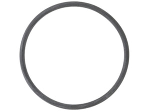 Thermostat Seal