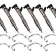 Load image into Gallery viewer, DDP 08-10 Ford Powerstroke 6.4L Injector Set - 300hp (100% Over) - Main Product View