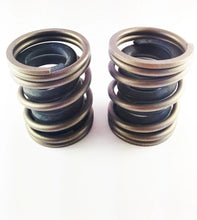 Load image into Gallery viewer, DDP 94-98 Dodge Cummins 5.9L 12V P-7100 Competition Governor Spring Set - Main Product View