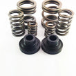 Load image into Gallery viewer, DDP 94-98 Dodge Cummins 5.9L 12V P-Pump 3000 &amp; 4000 RPM Governor Spring Kit - Main Product View