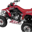 Load image into Gallery viewer, DG Performance Nerf Bars - Natural/Red 60-2455 fits Honda TRX450R