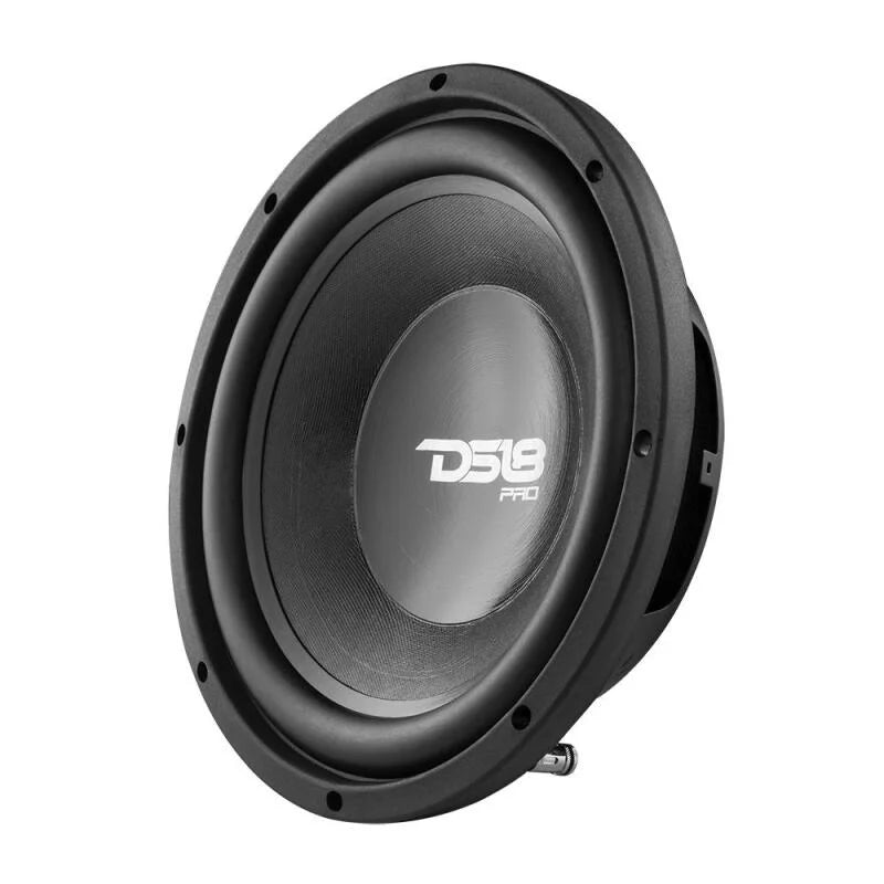 DS18 10in 350 Watts RMS 2 ohm Neodymium Cone Woofer - Installation View