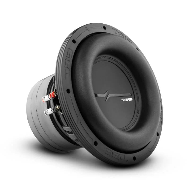 DS18 10in 800 Watts RMS 4 ohm DVC High Excursion Subwoofer - Installation View