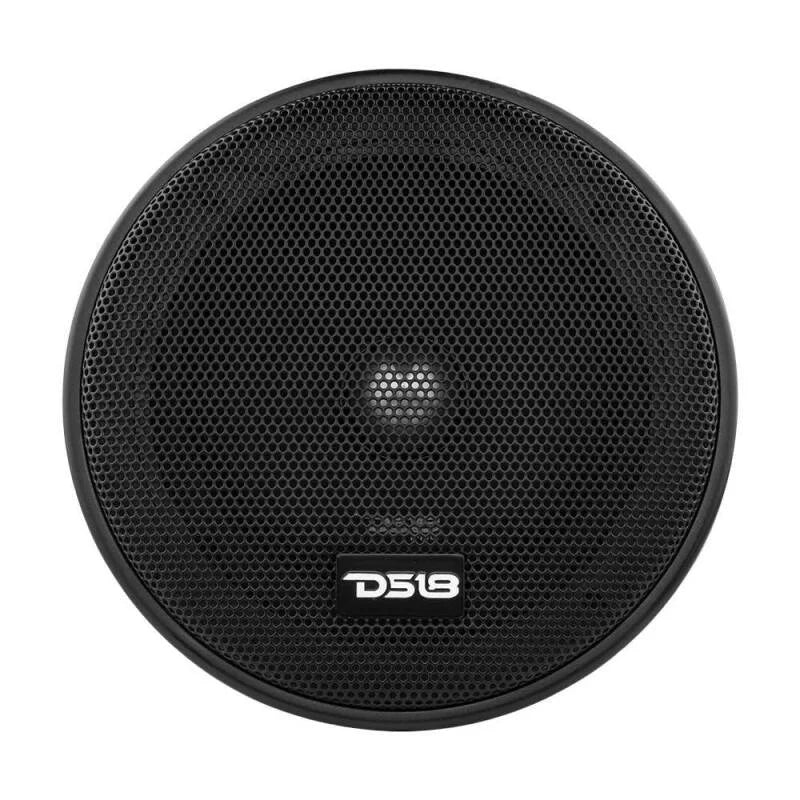 DS18 5.25 200 Watts RMS 4 ohm Neodymium Full Range Loudspeaker - Back View