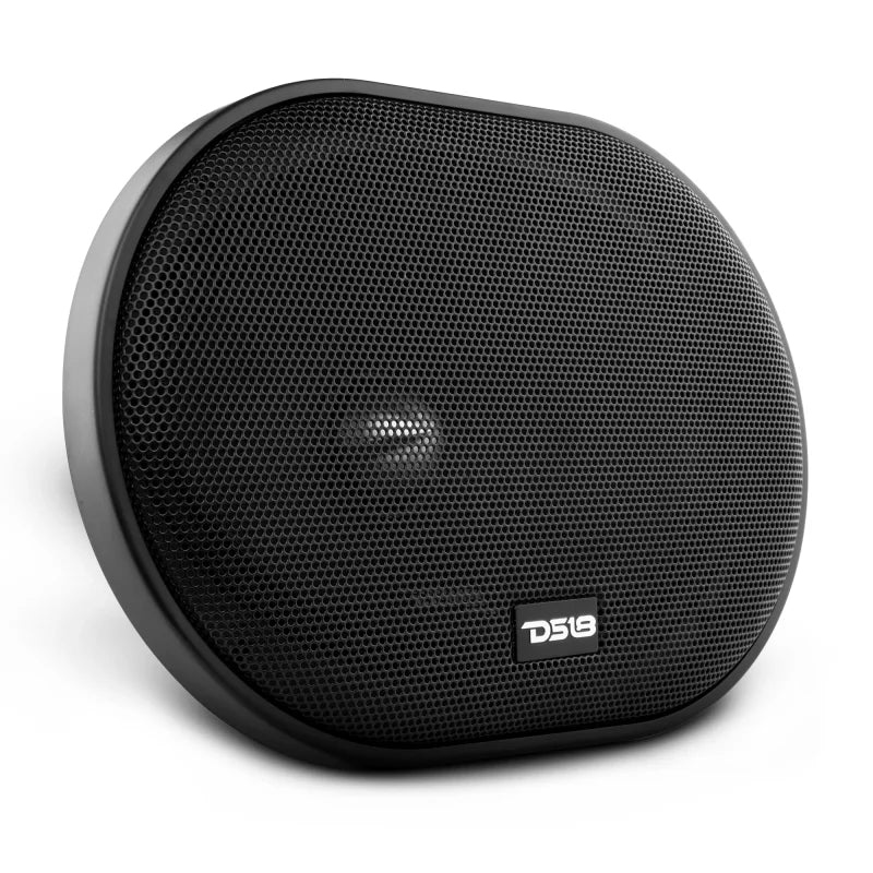DS18 6x9in 250 Watts RMS 4 ohm Neodymium Full Range Loudspeaker - Back View