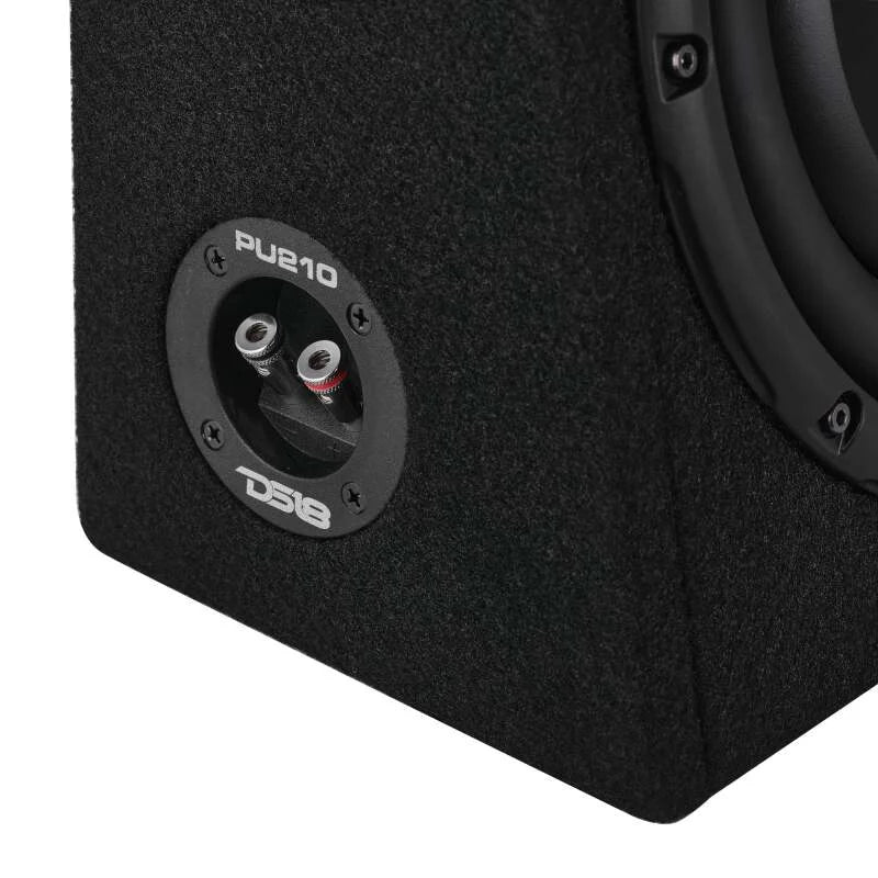 DS18 Dual 10in Shallow Enclosure w/ Subwoofer 350 Watts RMS Sealed Black Carpet - Main Product View