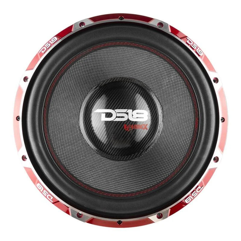 DS18 Hooligan Subwoofer 15in 4000 Watts RMS 4 ohm DVC - Back View