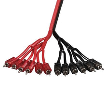 Load image into Gallery viewer, DS18 Level 2 RCA Wire Distribution Wire 2 Male to 12 Male - Back View