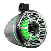 Load image into Gallery viewer, DS18 Marine And Psports Towers With 10in 1in Driver 300 Watts RMS RGB LED Lights Black Carbon Fiber - Additional View 5
