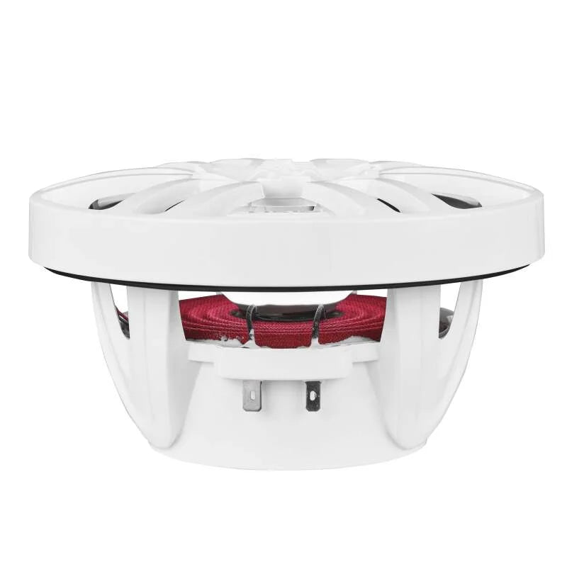 DS18 NXL Series Coaxial Marine Speaker w/ RGB Lights 6.5in 2-Way 100 Watts RMS 4 ohm White - Back View