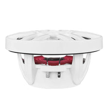 Load image into Gallery viewer, DS18 NXL Series Coaxial Marine Speaker w/ RGB Lights 6.5in 2-Way 100 Watts RMS 4 ohm White - Back View