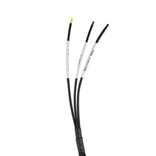 Load image into Gallery viewer, DS18 Plug and Play Harness For Harley Davidson For DS18 Amp Connection w/ Factory Radio - Back View