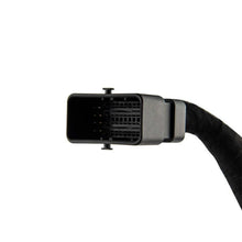 Load image into Gallery viewer, DS18 Plug and Play Harness For Harley Davidson For DS18 Amp Connection w/ Factory Radio - Additional View 5
