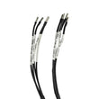 Load image into Gallery viewer, DS18 Plug and Play Harness For Harley Davidson For DS18 Amp Connection w/ Factory Radio - Additional View 9