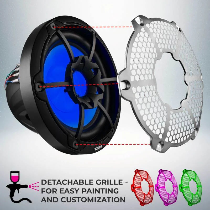 DS18 Subwoofer & Enclosure 10in 300 Watts RMS 4 ohm SVC Black w/ Covers - Installation View