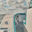 Load image into Gallery viewer, DS18 Subwoofer &amp; Enclosure 10in 300 Watts RMS 4 ohm SVC White - Main Product View
