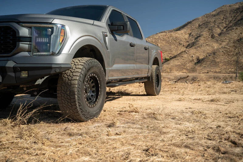 DV8 15-24 Ford F-150 Crew Cab - OE Plus Side Steps - Additional View 9