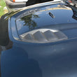 Load image into Gallery viewer, DV8 Offroad 07-18 Jeep Wrangler JK Rubicon 10th Anniversary Replica Hood - Back View