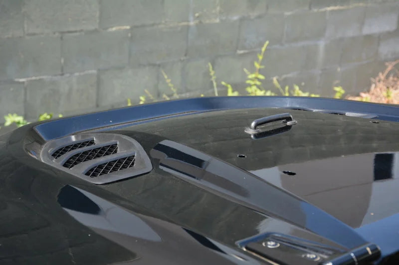 DV8 Offroad 07-18 Jeep Wrangler JK Rubicon 10th Anniversary Replica Hood - Additional View 7