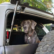 Load image into Gallery viewer, DV8 Offroad 2021-2024 Ford Bronco Dog Barrier - Additional View 8