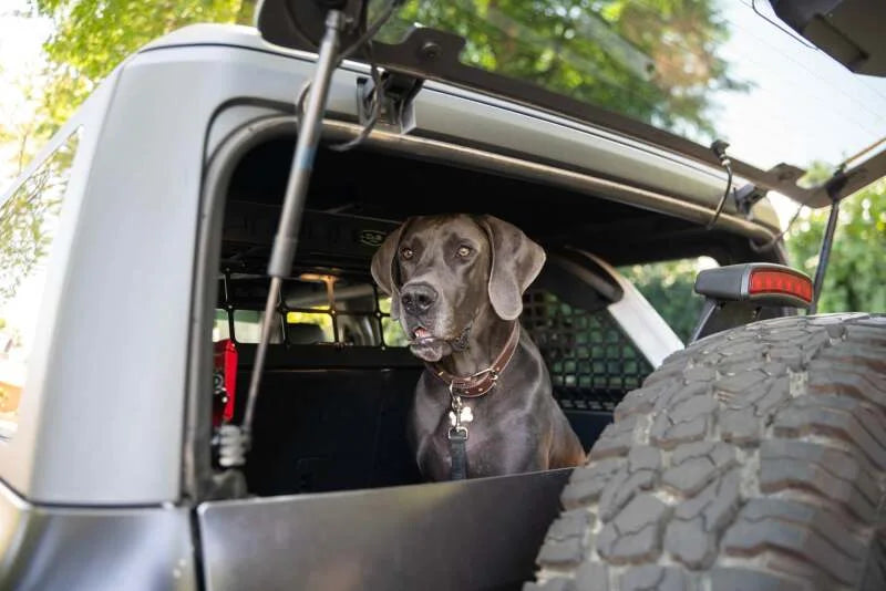 DV8 Offroad 2021-2024 Ford Bronco Dog Barrier - Additional View 8