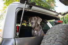 Load image into Gallery viewer, DV8 Offroad 2021-2024 Ford Bronco Dog Barrier - Additional View 8