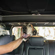 Load image into Gallery viewer, DV8 Offroad 2021-2024 Ford Bronco Dog Barrier - Additional View 10