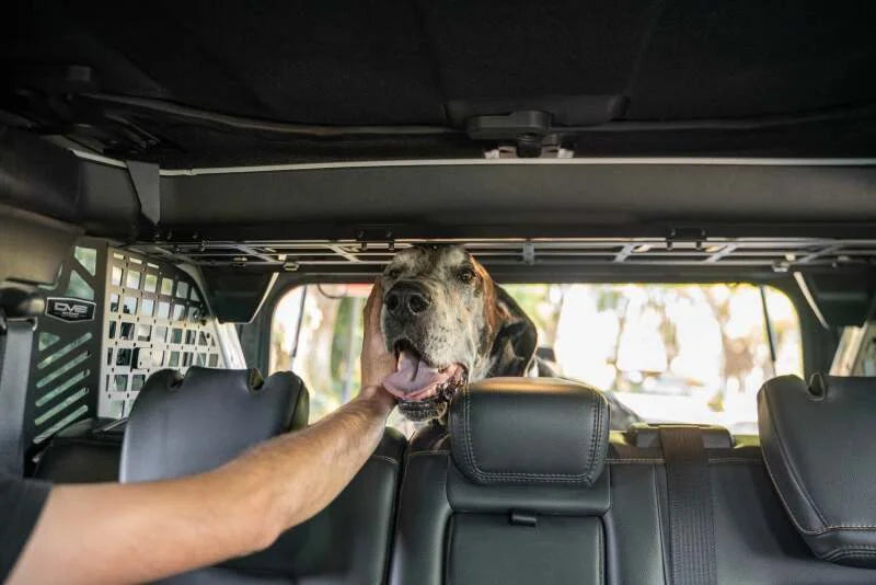 DV8 Offroad 2021-2024 Ford Bronco Dog Barrier - Additional View 10