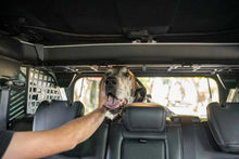 Load image into Gallery viewer, DV8 Offroad 2021-2024 Ford Bronco Dog Barrier - Additional View 10