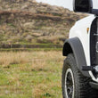 Load image into Gallery viewer, DV8 Offroad 2021+ Ford Bronco Foot Peg Pair - Black - Additional View 14