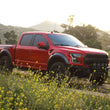 Load image into Gallery viewer, DV8 Offroad Ford 17-20 Ford F-150 Raptor Tube Front Bumper - Additional View 13