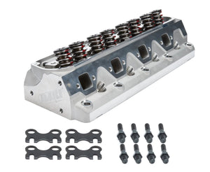 Dart SHP Cylinder Head 175cc/58cc - Assem. 128122 fits SBF