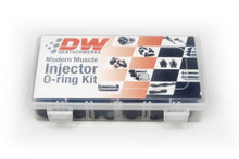 Load image into Gallery viewer, Deatschwerks Modern Muscle Injector O-Ring Kit (205 Pieces) - Side View