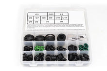 Load image into Gallery viewer, Deatschwerks Sport Compact / Euro Injector O-Ring Kit (230 Pieces) - Installation View