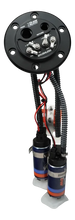 Load image into Gallery viewer, Deatschwerks X2 Pump Hanger w/ Dual DW420 for 92-00 Honda Civic