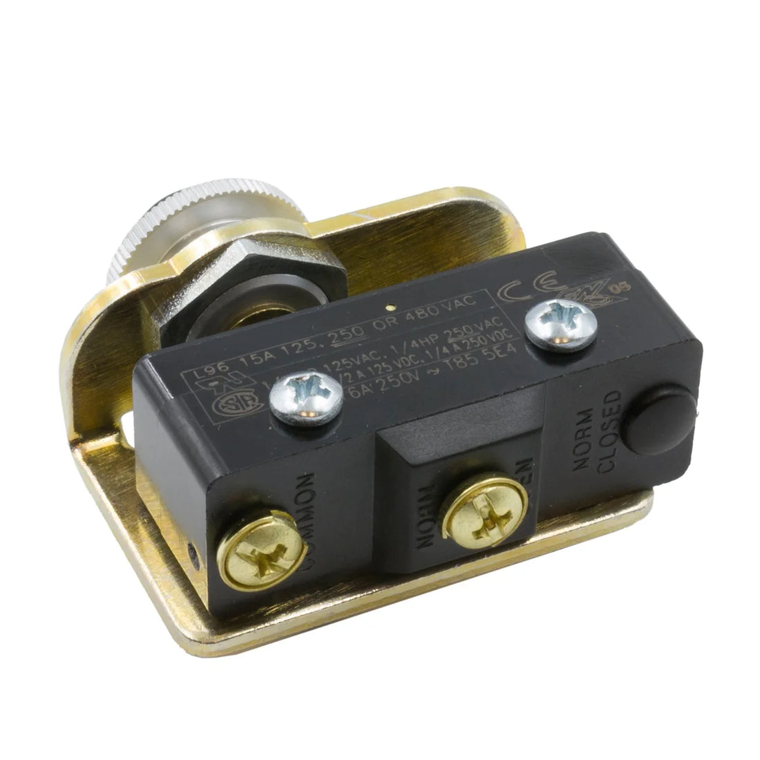 Dedenbear Screw terminals on bottom connect to any wire. PBSRTD - Back View