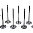 Load image into Gallery viewer, Del West 11/32 Exhaust Valves - 1.600 EV-1600-2T-CRST-8
