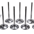 Load image into Gallery viewer, Del West 11/32 Intake Valves - 2.180 IV-2180-6T-CRST-8