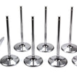 Load image into Gallery viewer, Del West 5/16 Intake Valves - 2.180 IV-2180-6T-310-CRST-8