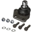 Load image into Gallery viewer, Delphi Ball Joint - Main Product View
