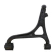 Load image into Gallery viewer, Delphi Control Arm - Side View